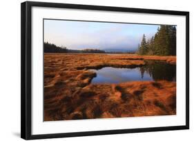 USA, Maine, Marsh Grass and Pond Near Acadia National Park-Joanne Wells-Framed Photographic Print