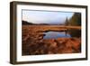 USA, Maine, Marsh Grass and Pond Near Acadia National Park-Joanne Wells-Framed Photographic Print