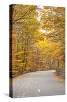 USA, Maine, Mt. Desert Island. Acadia National Park road.-Walter Bibikow-Stretched Canvas