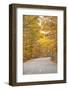 USA, Maine, Mt. Desert Island. Acadia National Park road.-Walter Bibikow-Framed Photographic Print