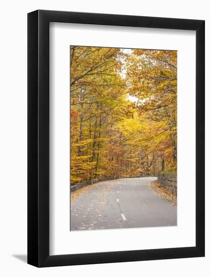 USA, Maine, Mt. Desert Island. Acadia National Park road.-Walter Bibikow-Framed Photographic Print