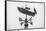 USA, Maine, Mt. Desert Island, Bernard. Lobster boat weather vane-Walter Bibikow-Framed Stretched Canvas