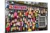 USA, Maine, Mt. Desert Island. Eden, traditional lobster shack seafood restaurant during autumn.-Walter Bibikow-Mounted Photographic Print