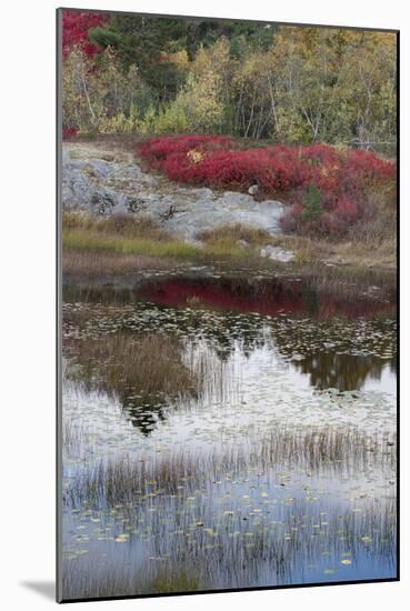 USA, Maine. New Mills Meadow Pond, Acadia National Park.-Judith Zimmerman-Mounted Photographic Print