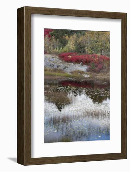 USA, Maine. New Mills Meadow Pond, Acadia National Park.-Judith Zimmerman-Framed Photographic Print