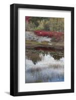 USA, Maine. New Mills Meadow Pond, Acadia National Park.-Judith Zimmerman-Framed Photographic Print