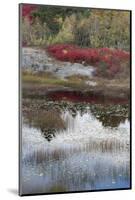 USA, Maine. New Mills Meadow Pond, Acadia National Park.-Judith Zimmerman-Mounted Photographic Print