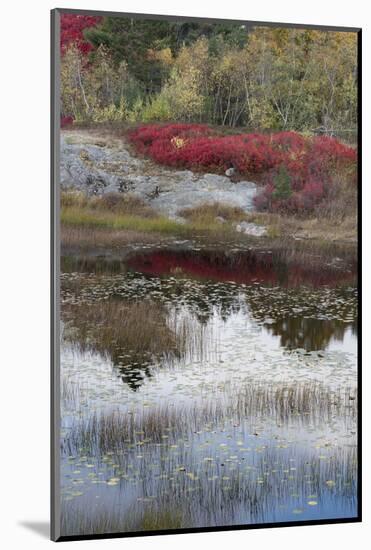 USA, Maine. New Mills Meadow Pond, Acadia National Park.-Judith Zimmerman-Mounted Photographic Print