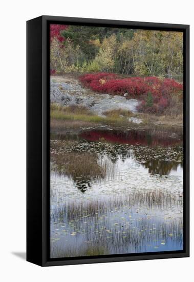 USA, Maine. New Mills Meadow Pond, Acadia National Park.-Judith Zimmerman-Framed Stretched Canvas