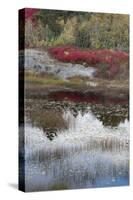 USA, Maine. New Mills Meadow Pond, Acadia National Park.-Judith Zimmerman-Stretched Canvas