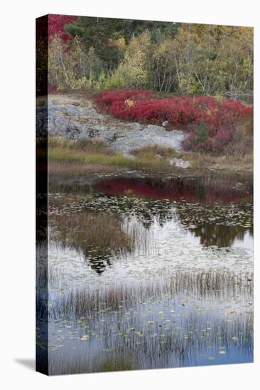 USA, Maine. New Mills Meadow Pond, Acadia National Park.-Judith Zimmerman-Stretched Canvas