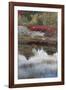 USA, Maine. New Mills Meadow Pond, Acadia National Park.-Judith Zimmerman-Framed Photographic Print