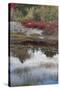 USA, Maine. New Mills Meadow Pond, Acadia National Park.-Judith Zimmerman-Stretched Canvas