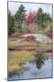 USA, Maine. New Mills Meadow Pond, Acadia National Park.-Judith Zimmerman-Mounted Photographic Print