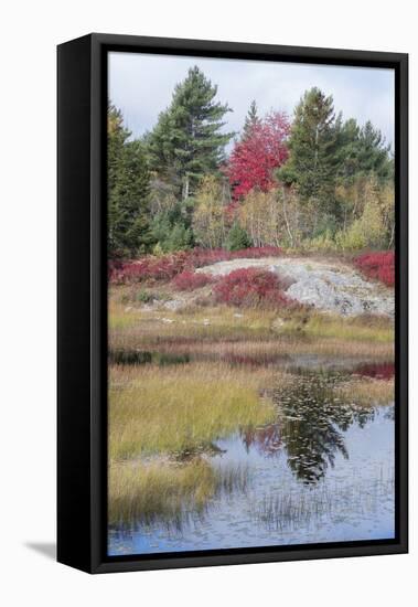 USA, Maine. New Mills Meadow Pond, Acadia National Park.-Judith Zimmerman-Framed Stretched Canvas