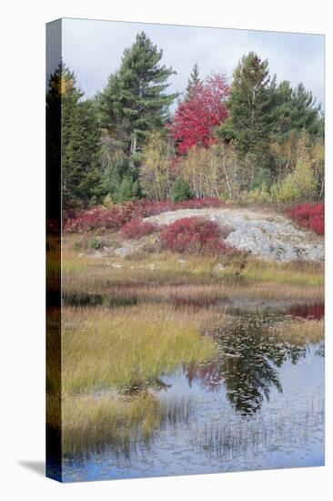 USA, Maine. New Mills Meadow Pond, Acadia National Park.-Judith Zimmerman-Stretched Canvas