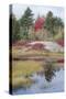 USA, Maine. New Mills Meadow Pond, Acadia National Park.-Judith Zimmerman-Stretched Canvas