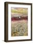 USA, Maine. Reflections, New Mills Meadow Pond, Acadia National Park.-Judith Zimmerman-Framed Photographic Print