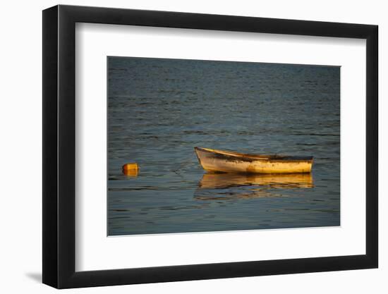 USA, Maine, Small Row Boat Anchored at Bar Harbor-Joanne Wells-Framed Photographic Print