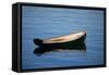 USA, Maine, Small Row Boat at Bass Harbor-Joanne Wells-Framed Stretched Canvas