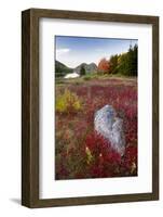 USA, Maine. The Bubbles and Jordan Pond in full autumn colors, Acadia National Park.-Judith Zimmerman-Framed Photographic Print