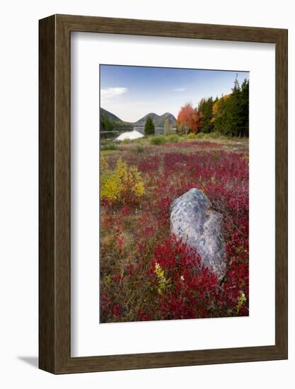 USA, Maine. The Bubbles and Jordan Pond in full autumn colors, Acadia National Park.-Judith Zimmerman-Framed Photographic Print