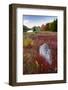 USA, Maine. The Bubbles and Jordan Pond in full autumn colors, Acadia National Park.-Judith Zimmerman-Framed Photographic Print