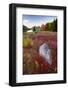 USA, Maine. The Bubbles and Jordan Pond in full autumn colors, Acadia National Park.-Judith Zimmerman-Framed Photographic Print