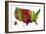 USA Map Clr 1-Marlene Watson-Framed Giclee Print