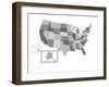 Usa Map-petra roeder-Framed Photographic Print