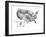 Usa Map-petra roeder-Framed Photographic Print