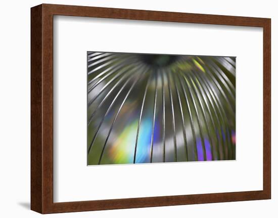 USA, Martinsville, Indiana. Close-up of a slinky-Deborah Winchester-Framed Photographic Print