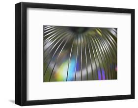 USA, Martinsville, Indiana. Close-up of a slinky-Deborah Winchester-Framed Photographic Print