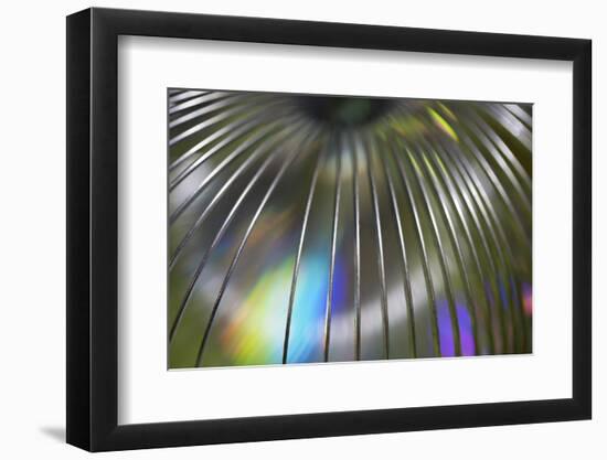 USA, Martinsville, Indiana. Close-up of a slinky-Deborah Winchester-Framed Photographic Print