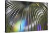 USA, Martinsville, Indiana. Close-up of a slinky-Deborah Winchester-Stretched Canvas