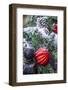 USA, Maryland, Bethesda, First snowfall on Holiday decoration-Hollice Looney-Framed Photographic Print