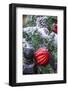 USA, Maryland, Bethesda, First snowfall on Holiday decoration-Hollice Looney-Framed Photographic Print