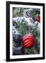 USA, Maryland, Bethesda, First snowfall on Holiday decoration-Hollice Looney-Framed Photographic Print