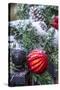 USA, Maryland, Bethesda, First snowfall on Holiday decoration-Hollice Looney-Stretched Canvas