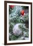 USA, Maryland, Bethesda, First snowfall on Holiday decoration-Hollice Looney-Framed Photographic Print