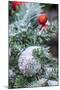 USA, Maryland, Bethesda, First snowfall on Holiday decoration-Hollice Looney-Mounted Photographic Print