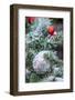 USA, Maryland, Bethesda, First snowfall on Holiday decoration-Hollice Looney-Framed Photographic Print