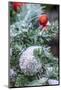 USA, Maryland, Bethesda, First snowfall on Holiday decoration-Hollice Looney-Mounted Photographic Print