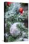 USA, Maryland, Bethesda, First snowfall on Holiday decoration-Hollice Looney-Stretched Canvas