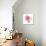 USA, Maryland, Bethesda, Pink Rose, Digitally Altered-Hollice Looney-Photographic Print displayed on a wall