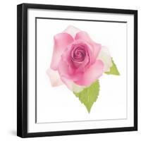 USA, Maryland, Bethesda, Pink Rose, Digitally Altered-Hollice Looney-Framed Photographic Print