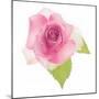 USA, Maryland, Bethesda, Pink Rose, Digitally Altered-Hollice Looney-Mounted Photographic Print