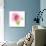 USA, Maryland, Bethesda, Pink Rose, Digitally Altered-Hollice Looney-Photographic Print displayed on a wall