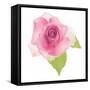 USA, Maryland, Bethesda, Pink Rose, Digitally Altered-Hollice Looney-Framed Stretched Canvas