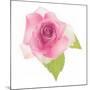 USA, Maryland, Bethesda, Pink Rose, Digitally Altered-Hollice Looney-Mounted Photographic Print